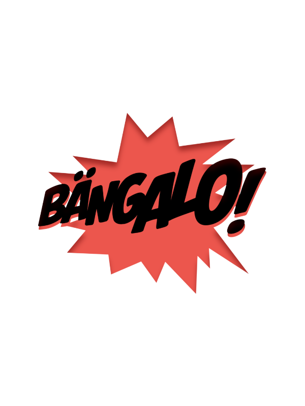 10 kg Bio-Anzünder "Bängalo"